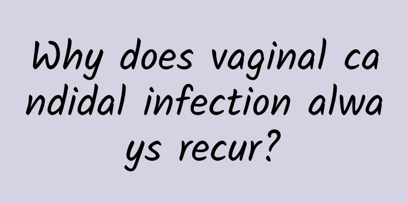 Why does vaginal candidal infection always recur?