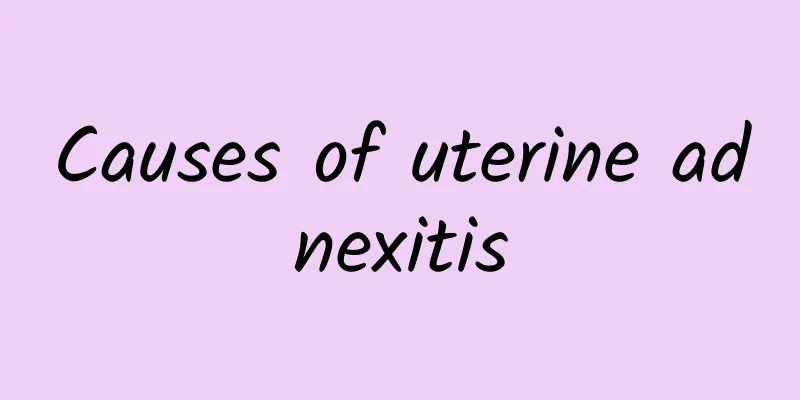 Causes of uterine adnexitis