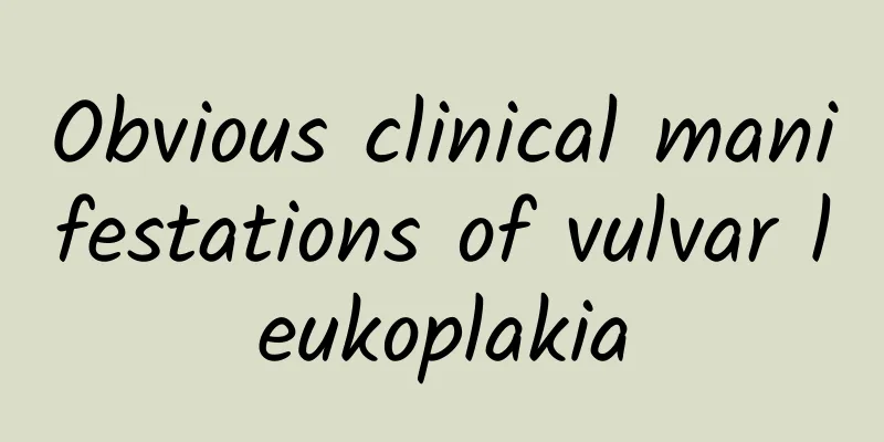 Obvious clinical manifestations of vulvar leukoplakia
