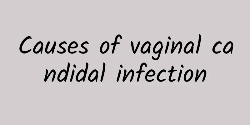 Causes of vaginal candidal infection