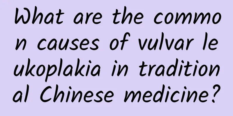 What are the common causes of vulvar leukoplakia in traditional Chinese medicine?
